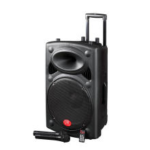 Profeesional Rechargeable Trolley Speaker with USB/SD /FM